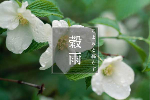 こよみと暮らす