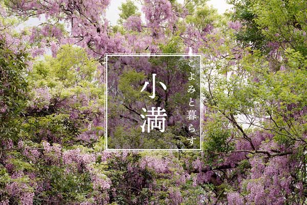こよみと暮らす