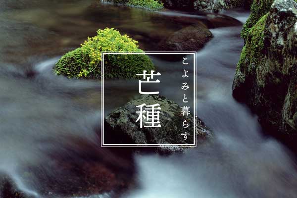 こよみと暮らす