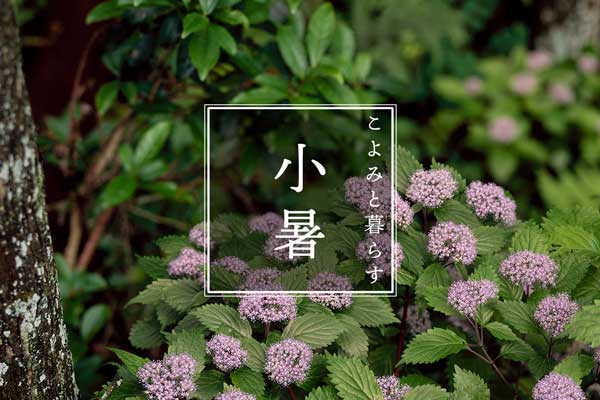 こよみと暮らす