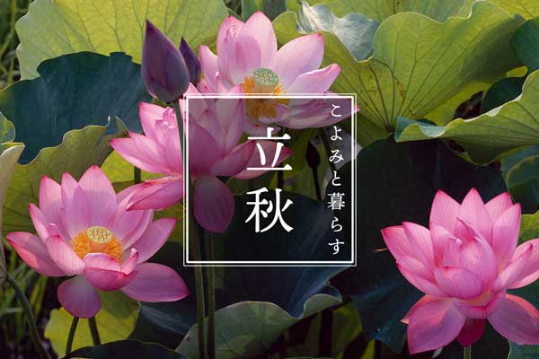 こよみと暮らす