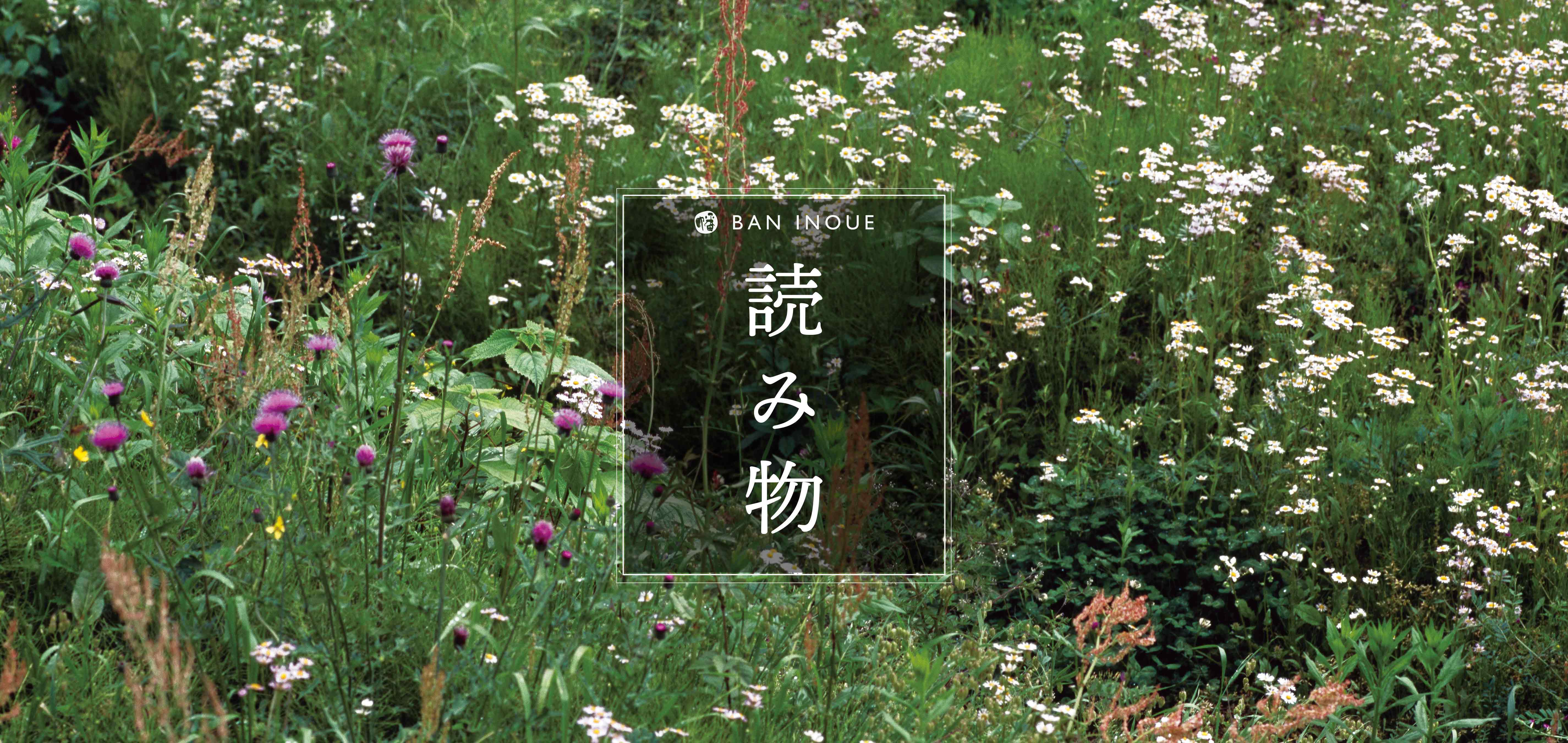 コラム・ブログなど