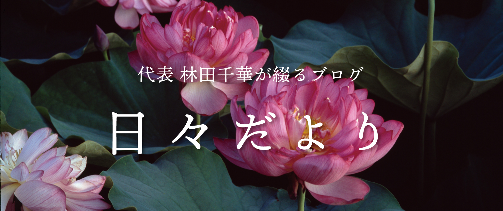 読み物_日々だより