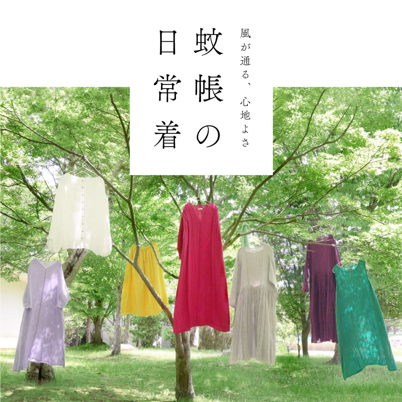 蚊帳の日常着