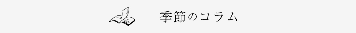 コラム