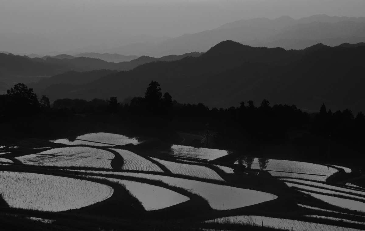 サスティナブルな取り組み
